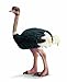 Schleich Ostrich
