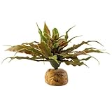 ���i�̏ڍ�