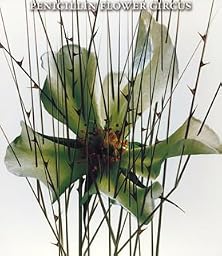 FLOWER CIRCUS(初回限定盤)(CCCD)