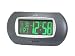 neonite Daydate Led Alarm Clock