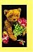 Book Teddy Bear Collector's Journal