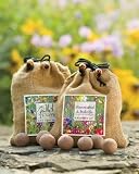 Hummingbird Seed Balls