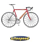2003 Litespeed Ultimate Bike - Dura Ace 9 Speed