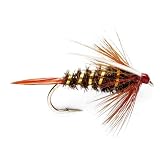 Prince Nymph