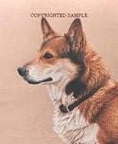 Welsh Corgi - Portrait by Cindy Farmer