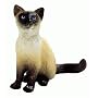 Chat siamois de bullyland