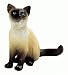 BULLY 66360 Siamkatze Caro