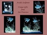 41JTXD3FG8L. SL160  Buy Acrylic Fish Tanks