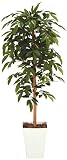 TREE-c/光触媒 鉢植え インテリアグリーン 造花 アルデシア(万両)120cm 188A18031