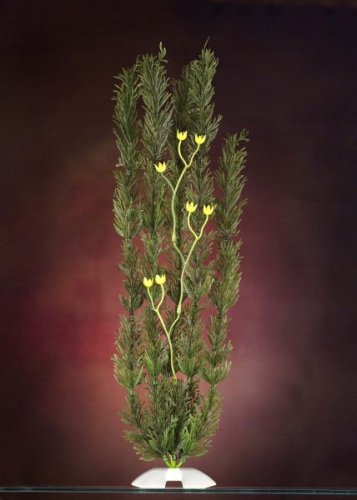 JW Pet Company Nitella 18 in XXLarge Aquarium Plant