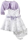 Youngland Baby-Girls Newborn Embroidered Sheer Dress, Lilac, 3-6 Months