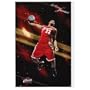 (24x36) LeBron James (Cleveland Cavaliers) Sports Poster