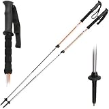 Trekking Poles - Poles Specially Designed for Your Next Trekking Adventure