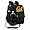 California Golden Bears