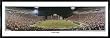 Clemson Tigers Death Valley Jigsaw Puzzle 616pc