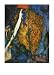 L'arbre de Vie Motivational Art Poster Print by Marc Chagall, 20x28