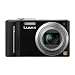 41JUtKibjwL. SL75  Where to Buy Panasonic Camera on Sale?
