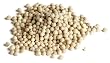 TASTE Specialty Foods Whole White Peppercorns, 5-pound Jug