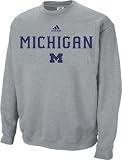 Michigan Wolverines Adidas Sideline Grey Crewneck Sweatshirt (X-Large )