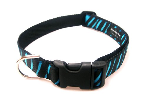 Medium Turquoise/Black Zebra Dog Collar: 3/4