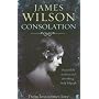 Consolation by James Wilson