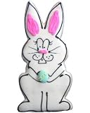 Beautiful Cookies Organic Party Favors-Easter Bunny Organic Cookies Cookies, 10 Cookies