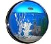 Circle Shape Bubble Hanging Aquarium Complete Self Contained Wall Fish Tank For Freshwater, Tropical, Marine, Saltwater Fishes(Blue)