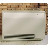 High-Efficient Direct-Vent Wall Furnace Size: 40,000 Btu, Fuel: Liquid Propane