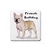 French Bulldog Rubber Square Coaster (4 pack)
