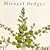 Taproot