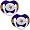 Minnesota Vikings