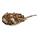 Horseshoe Crab Stuffed Animal Plush Toy 12" L