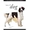 Wonderful Books about Dogs