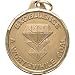 1 1/4 Inch Gold Excellence Medal