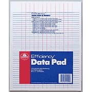 Punched Data Pads 12 Columns 8 1/2" x 11" White (AMP22200)