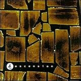 Revue Artistes Divers  / The Ascension Dimension Vol.2