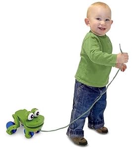 Frolicking Frog Pull Toy