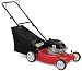 Outdoor Living : White 21-Inch 4.5 HP Gas Powered Push Lawn Mower with Grass Catcher and Mulching Kit #11A413A800