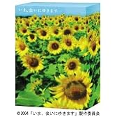 いま、会いにゆきます DVD-BOX 〈初回限定生産〉