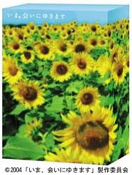 いま、会いにゆきます DVD-BOX 〈初回限定生産〉