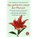 Das geheime Leben der Pflanzen: Pflanzen als Lebewesen mit Charakter und Seele und ihre Reaktionen in den physischen und emotionalen Beziehungen zum Menschen