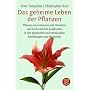 Das geheime Leben der Pflanzen: Pflanzen als Lebewesen mit Charakter und Seele und ihre Reaktionen in den physischen und emotionalen Beziehungen zum Menschen