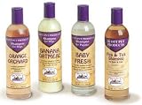 Dog Shampoo, Banana Oatmeal That Moisturizes