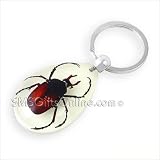 Fluorescent Acrylic Amber Insect Antle Horned Beetle Keyring