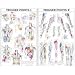 Trigger Point Chart Set - Laminated