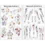 Trigger Point Chart Set - Laminated