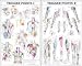 Trigger Point Chart Set - Laminated