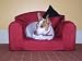 Burgundy Faux Suede Classic Dog Chair From ExtraComfort 50x46x34 cm ( 20x18x13 inches)