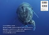クジラ！　大写真集-