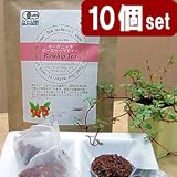��20%OFF �I�[�K�j�b�N ���[�Y�q�b�v�e�B�[ �e�B�[�p�b�N�� 10�Z�b�g 4g�~250��